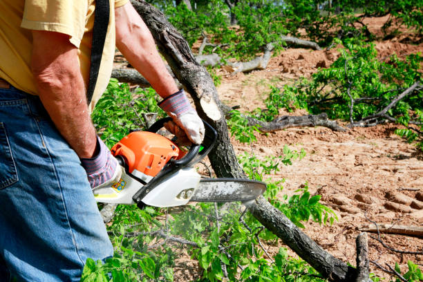 Lawn Grading and Leveling